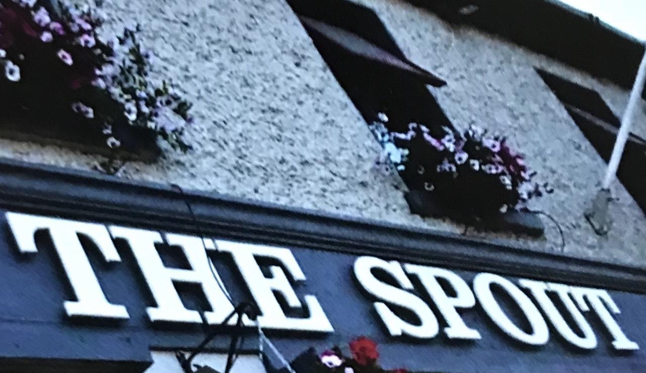 The Rooms At The Spout Kilcullen Екстер'єр фото